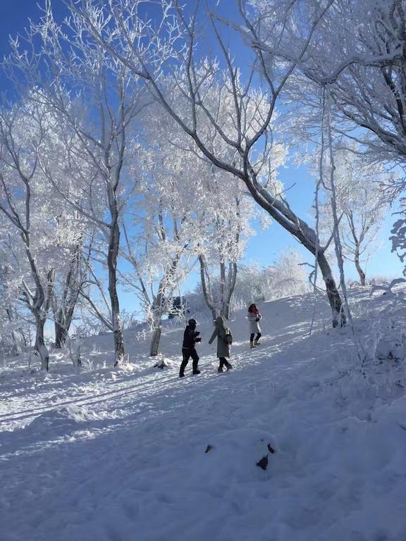 Songhua Lake Qingshan Snow View Apartment Jilin Eksteriør billede
