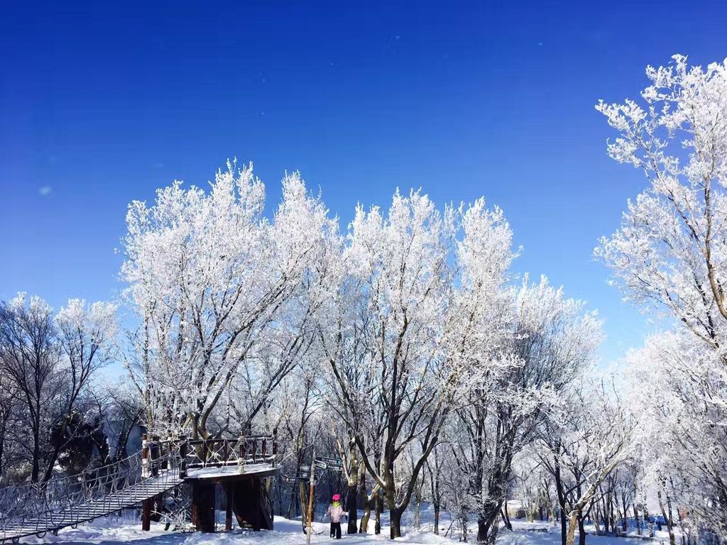 Songhua Lake Qingshan Snow View Apartment Jilin Eksteriør billede